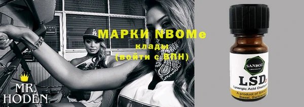 индика Новозыбков