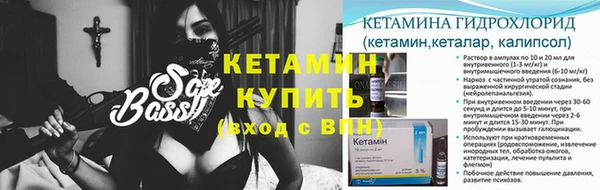 индика Новозыбков