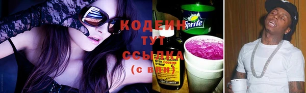 индика Новозыбков
