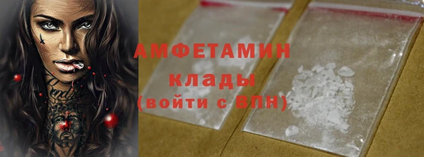 индика Новозыбков