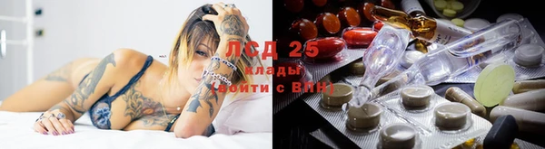 герыч Новодвинск