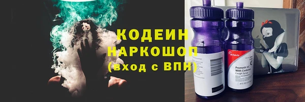 индика Новозыбков
