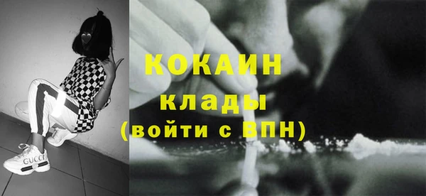 индика Новозыбков