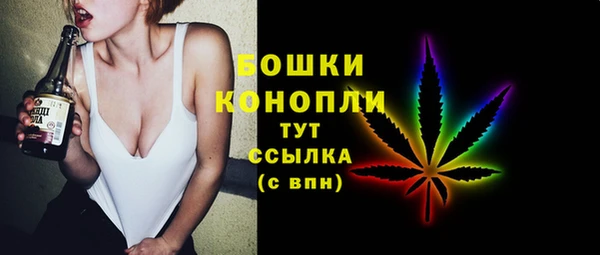 индика Новозыбков