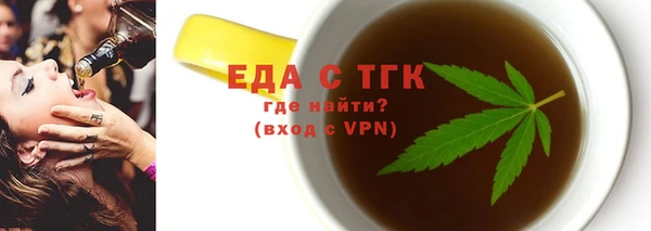 индика Новозыбков