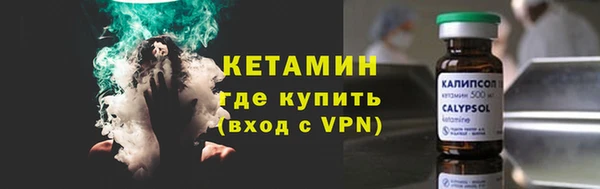 индика Новозыбков
