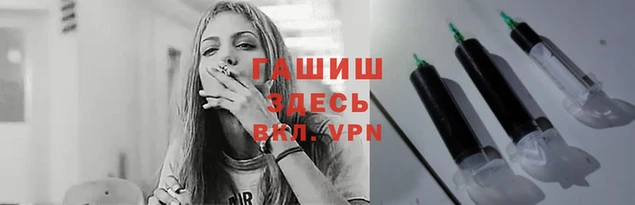 индика Новозыбков