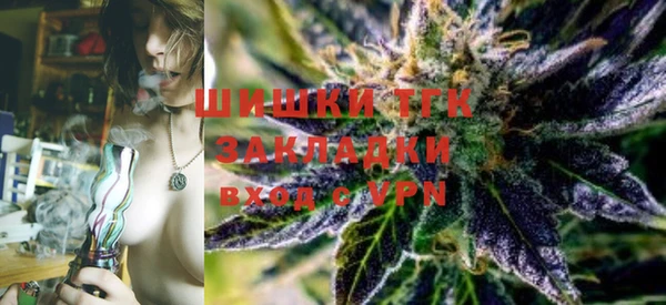 индика Новозыбков