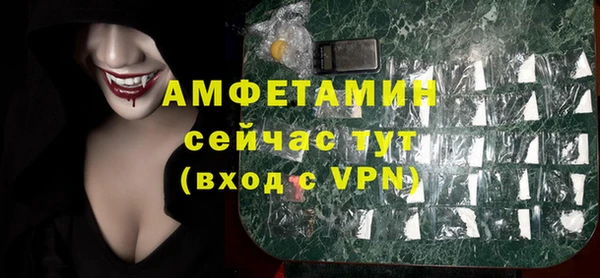 индика Новозыбков