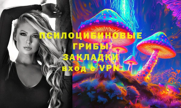 герыч Новодвинск