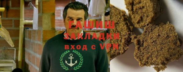 индика Новозыбков