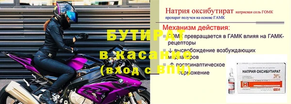 индика Новозыбков