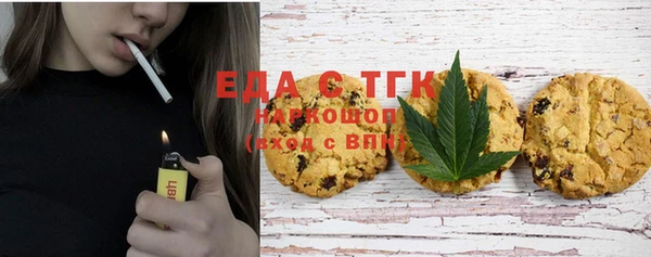 индика Новозыбков