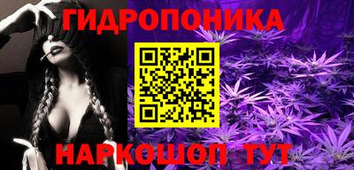 a pvp Пушкино