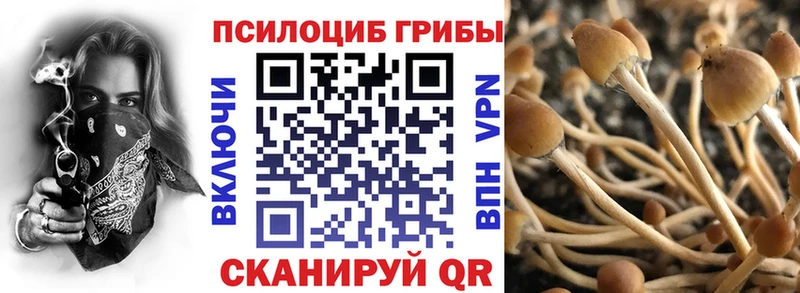 Галлюциногенные грибы Cubensis  что такое   Хабаровск 